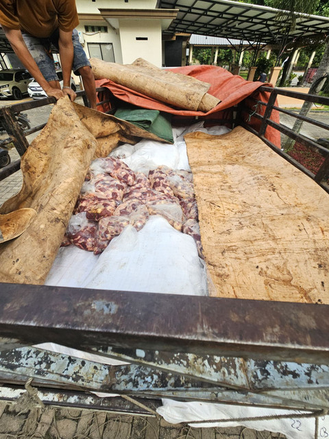 Dok Karantina Lampung