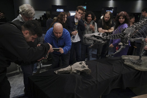 Orang-orang mengamati fosil tulang Kostensuchus atrox, buaya purba yang hidup sekitar 70 juta tahun lalu menjelang akhir era dinosaurus, yang ditemukan di wilayah Patagonia Argentina, di Universitas Maimonides, Buenos Aires, Argentina (27/8/2025). Foto: ALESSIA MACCIONI/REUTERS