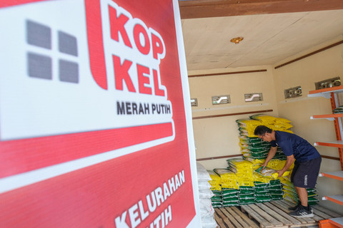Petugas koperasi menata beras SPHP di Gudang Koperasi Kelurahan Merah Putih (KKMP) Wundumbatu, Kendari, Sulawesi Tenggara, Selasa (19/8/2025).  Foto: Andry Denisah/ANTARA FOTO