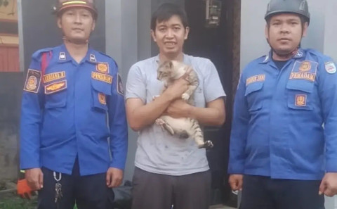 Kucing yang nyangkut di terali pintu telah terselamatkan. Dok: Damkar Depok