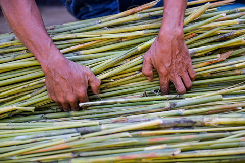 Pekerja menata batang tanaman sorgum jenis bioguma yang telah dipanen di Sein Farm, Bandung, Jawa Barat. Foto: Raisan Al Farisi/ANTARA FOTO
