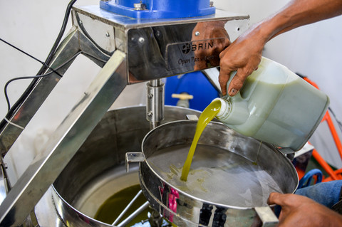 Pekerja menggiling batang tanaman sorgum jenis bioguma yang telah dipanen untuk dijadikan gula di Sein Farm, Bandung, Jawa Barat. Foto: Raisan Al Farisi/ANTARA FOTO