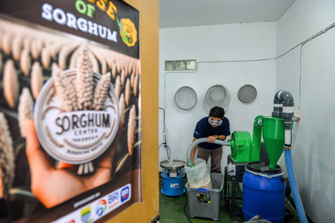 Pekerja menyelesaikan produksi tepung dari tanaman sorgum di Sein Farm, Bandung, Jawa Barat. Foto: Raisan Al Farisi/ANTARA FOTO