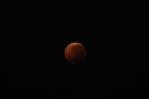 Fenomena alam gerhana bulan terlihat di langit Jakarta pada Senin (8/9) dini hari. Foto: Aditia Noviansyah/kumparan