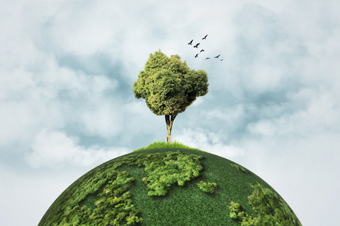 Ilustrasi ekologi. Foto: Shutterstock