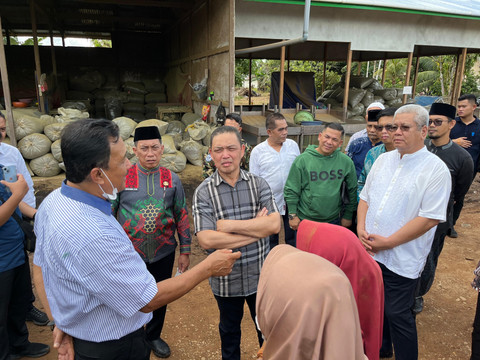 Gubernur Kalimantan Barat (Kalbar) Ria Norsan meninjau salah satu pabrik kratom yang ada di Kapuas Hulu. Foto: Rabiansyah/Hi!Pontianak.