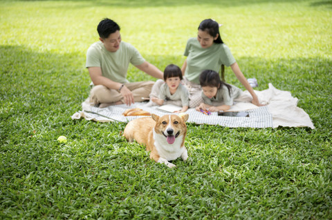 Ilustrasi anak digigit anjing. Foto: BongkarnGraphic/Shutterstock
