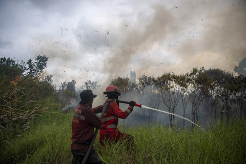 Petugas dari Manggala Agni Daops Banyuasin berupaya melakukan pemadaman kebakaran lahan yang terjadi di sisi gerbang tol rambutan Jalan Tol Trans Sumatera ruas Palembang-Indralaya di Desa Rambutan, Ogan Ilir (OI), Sumatera Selatan, Minggu (21/9/2025) Foto: Nova Wahyudi/ANTARA FOTO