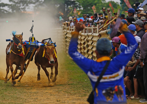 Foto-foto : Dipta Wahyu/Basra