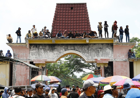 Perhelatan "Gengsi" Warga Madura di Kerapan Sapi (1)