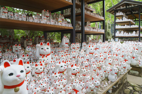 Gotokuji Temple. Foto: Sergey_Bogomyako/Shutterstock