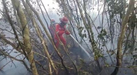 Tim Manggala Agni saat memadamkan kebakaran di lahan gambut  Pangkalan Lampam, Ogan Komering Ilir (OKI). Foto : Dok. Balai Pengendalian Kebakaran Hutan Kementerian Kehutanan