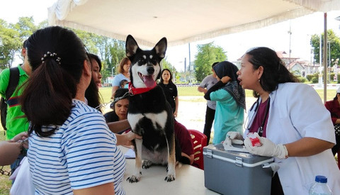 Pelaksanaan vaksinasi rabies gratis untuk hewan peliharaan di Kota Manado, dalam rangka peringatan Hari Rabies Sedunia, Sabtu 27 September 2025.
