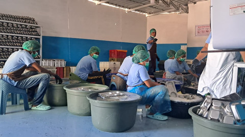 Suasana SPPG di NTT, Rabu (1/10/2025). Foto: Annisa Thahira Madina/kumparan