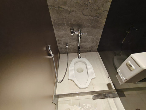 Ilustasi toilet jongkok. Foto: Robby Eyes/Shutterstock