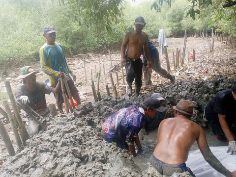 Proses penguburan hiu paus terdampar di Bekasi, Selasa (30/9/2025). Foto: Dok. Istimewa