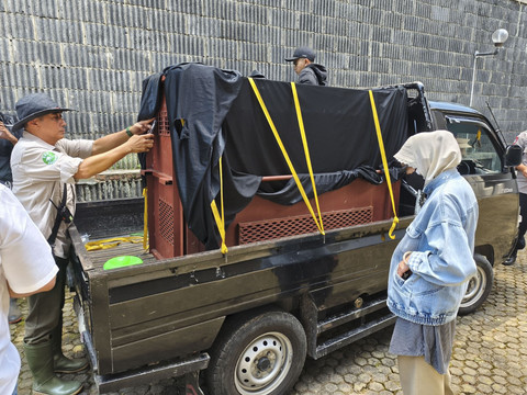 Evakuasi macan tutul yang masuk hotel di Jalan Padasaluyu, Kelurahan Isola, Kecamatan Sukasari, Kota Bandung, Senin (6/10/2025). Foto: Linda Lestari/kumparan