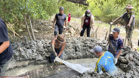 Penanganan hiu paus (Rhincodon typus) yang ditemukan terdampar di Pantai Muara Mati, Desa Pantai Bahagia, Kecamatan Muara Gembong, Kabupaten Bekasi, Selasa (30/9/2025). Foto: WWF-Indonesia