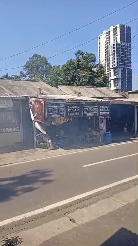 Kawanan monyet liar mendatangi rumah-rumah warga di Kelurahan Ciater, Kecamatan Serpong, Kota Tangerang Selatan, Senin (6/10/2025). Foto: Dok. Istimewa