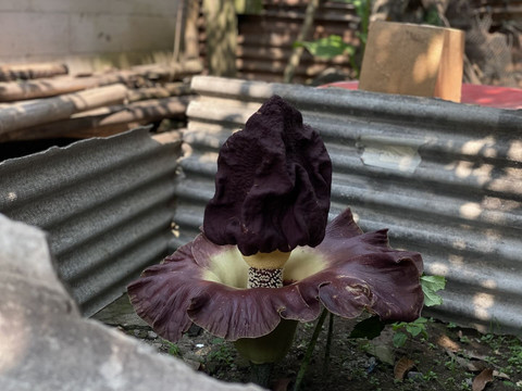  Pandangan Jogja/Resti Damayanti