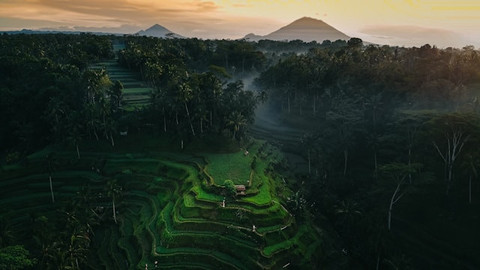 sumber foto https://unsplash.com/