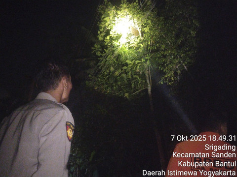 Polisi di lokasi tawon gung menyerang warga hingga meninggal dunia di Srigading, Kapanewon Sanden, Kabupaten Bantul. Foto: Dok. Polres Bantul