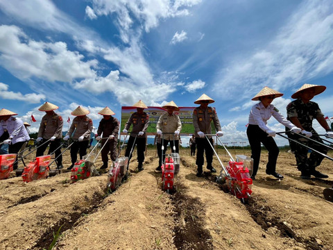 Gubernur Kalbar, Ria Norsan beserta Kapolda Kalbar, Irjen Pol Pipit Rismanto sedang melakukan penanaman jagung secara serentak di Kota Singkawang. Foto: Rabiansyah/Hi!Pontianak