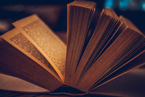 Buku menjadi kehilangan daya tariknya di era media sosial saat ini. Photo: MarieXMartin, Pixabay.com