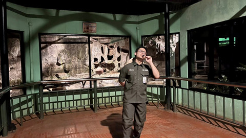 Suasana wisata malam Night at the Ragunan Zoo di Taman Margasatwa Ragunan, Jakarta Selatan, Sabtu (11/10/2025). Foto: Nasywa Athifah/kumparan