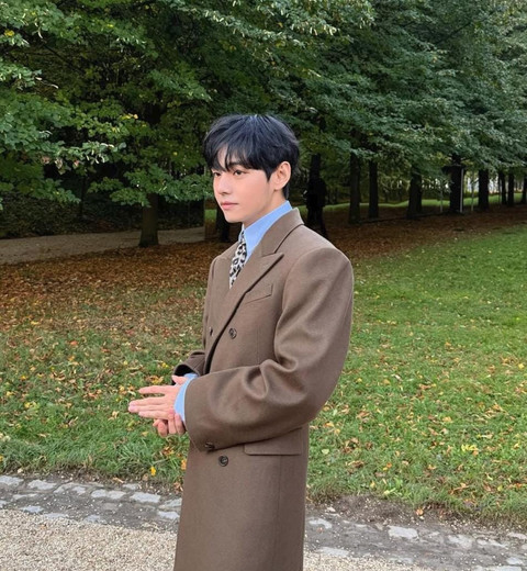 Tampilan Kim Taehyung di Paris Fashion Week untuk show Celine. Foto: Instagram @thv