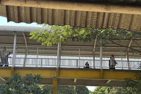 Suasana jembatan Stasiun Palmerah, Jakarta (14/10/2025). Foto: Amira Nada Fauziyyah/kumparan