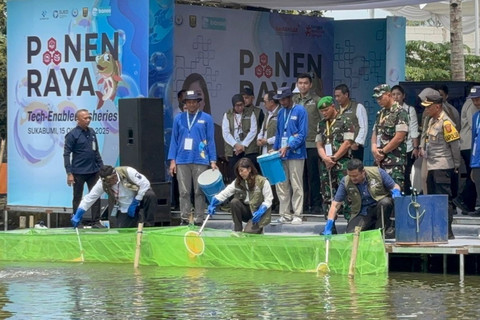 Menkomdigi Meutya Hafid melakukan simbolis Panen Raya Teknologi Digital Perikanan di Sukabumi, Jawa Barat pada Rabu (15/10/2025). Foto: Abid Raihan/kumparan