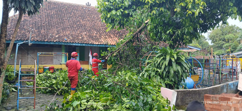 Hujan deras dan angin kencang sebabkan sejumlah pohon tumbang di Kabupaten Sleman, Rabu (15/10/2025). Foto: BPBD Sleman