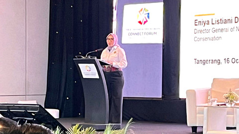 Direktur Jenderal Energi Baru Terbarukan dan Konservasi Energi (EBTKE) Kementerian ESDM Eniya Listiani Dewi di Hotel Tentrem Jakarta, Kamis (16/10/2025). Foto: Nasywa Athifah/kumparan