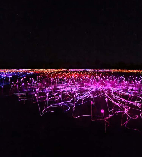 Field of Light. Dok: Pribadi