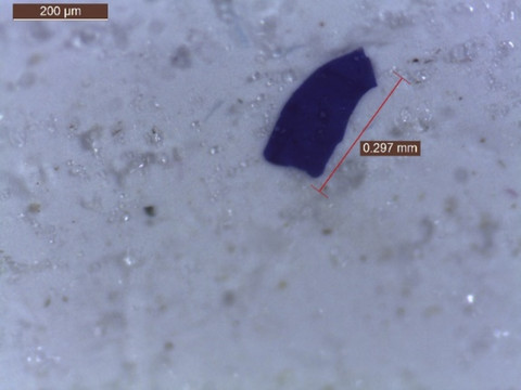 Mikroplastik yang terkandung di air hujan Jakarta. Foto: Dok. BRIN