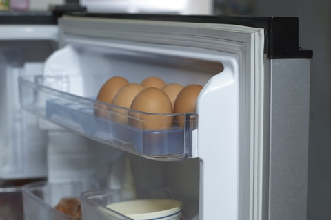 Telur di kulkas. Foto: Shutterstock