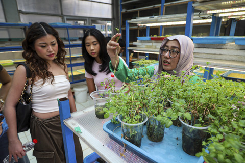 Pekerja memberikan penjelasan kepada pengunjung terkait sayuran hidroponik di Ladang Farm, Lebak Bulus, Jakarta, Sabtu (25/10/2025). Foto: Iqbal Firdaus/kumparan