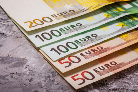 Ilustrasi mata uang Euro. Foto: Zayne C/Shutterstock