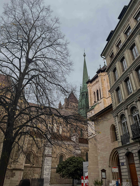 Old Town Geneva: Kawasan Bersejarah yang Wajib Dikunjungi saat ke Swiss Foto: Adhie Ichsan/kumparan