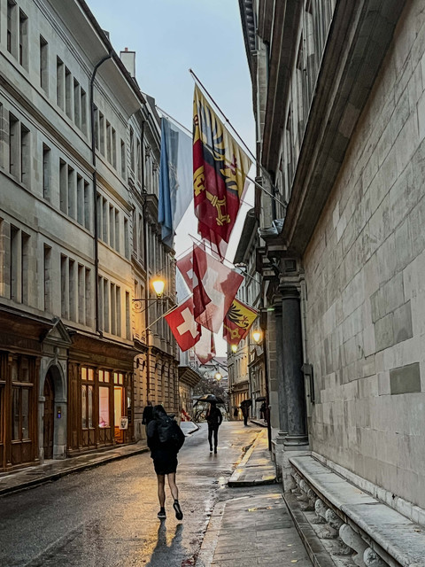 Old Town Geneva: Kawasan Bersejarah yang Wajib Dikunjungi saat ke Swiss Foto: Adhie Ichsan/kumparan