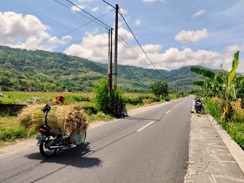Pemandangan membentang Dusun Jombor yang viral usai menjadi lokasi syuting sebuah film di Kalurahan Srimulyo, Kapanewon Piyungan, Kabupaten Bantul.  Foto: Arfiansyah Panji Purnandaru/kumparan
