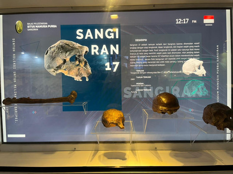 Museum Manusia Purba Sangiran yang dikenal sebagai 'The Homeland of Java Man' Doc Pribadi