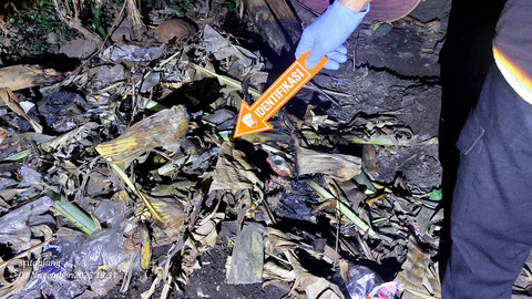 Lokasi pelaku mengubur bayi. Dok: Polsek Wongsorejo