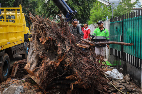 Petugas membersihkan pohon tumbang akibat hujan deras disertai angin kencang di Jalan Minangkau, Manggarai, Jakarta Selatan, Selasa (4/11/2025). Foto: Iqbal Firdaus/kumparan