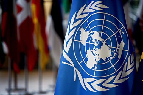 Ilustrasi UNESCO. Foto: Alexandros Michailidis/Shutterstock