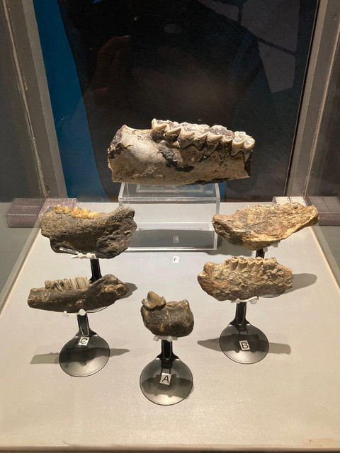 (Dokumentasi pribadi)