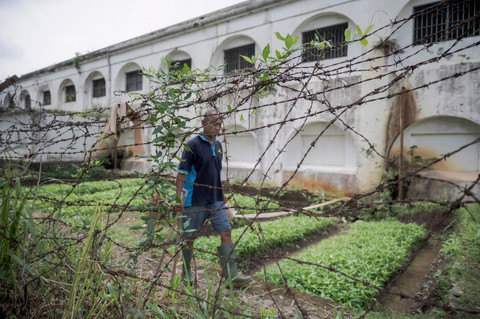 Warga binaan pemasyarakatan (WBP) berjalan di ladang pertanian Lapas. Foto: Aprillio Akbar/ANTARA FOTO