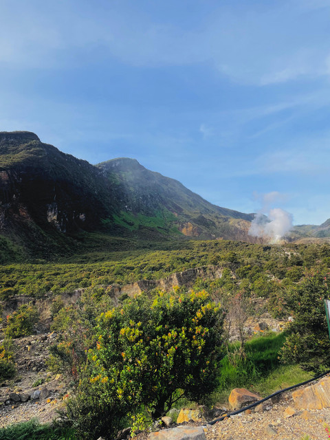 Foto Padang Edelweis Gunung Papandayan. Sumber: Fajar Umaryana (Pribadi).