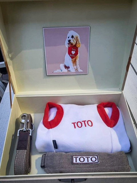 Presiden Prabowo memberikan baju untuk anjing peliharaan Perdana Menteri Australia Anthony Albanese. Foto: Instagram/ @sekertariat.kabinet